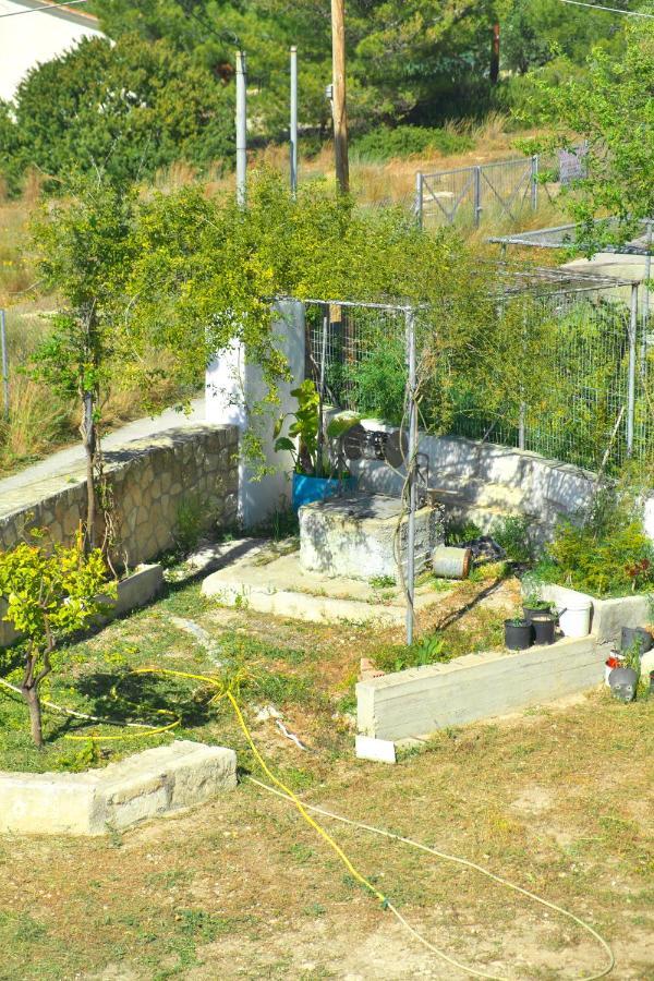 Georgia'S House Villa Aegina Kültér fotó