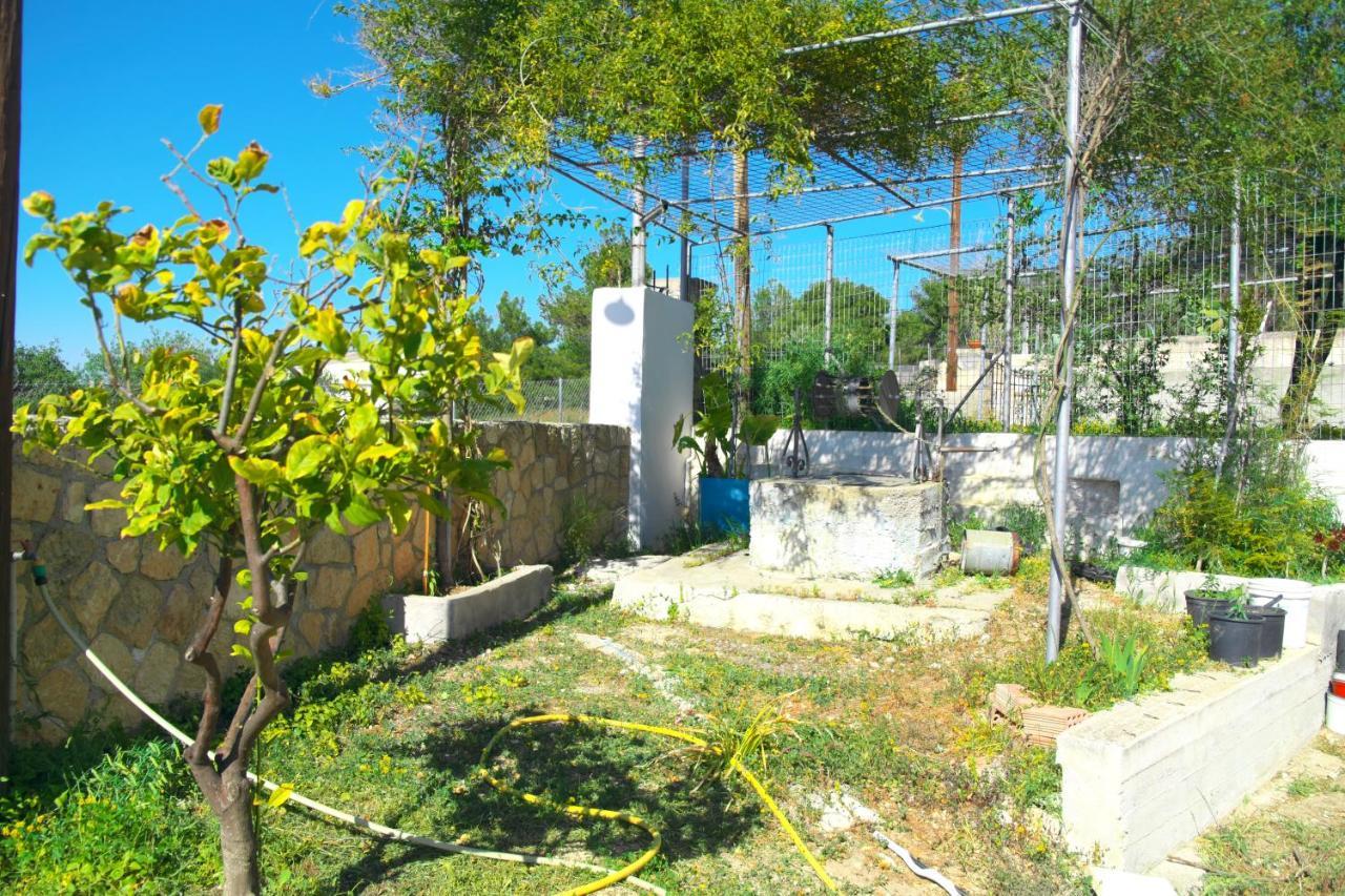 Georgia'S House Villa Aegina Kültér fotó